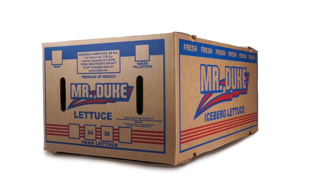 Caja de cartón para lechuga iceberg, formato 24/30 cabezas
